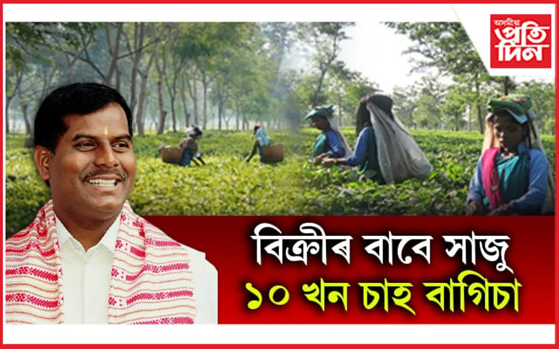 এণ্ড্ৰিউ উইলৰ চাহ বাগিচা বিক্ৰীৰ সিদ্ধান্তক সমৰ্থন তেৰছ গোৱালাৰ...